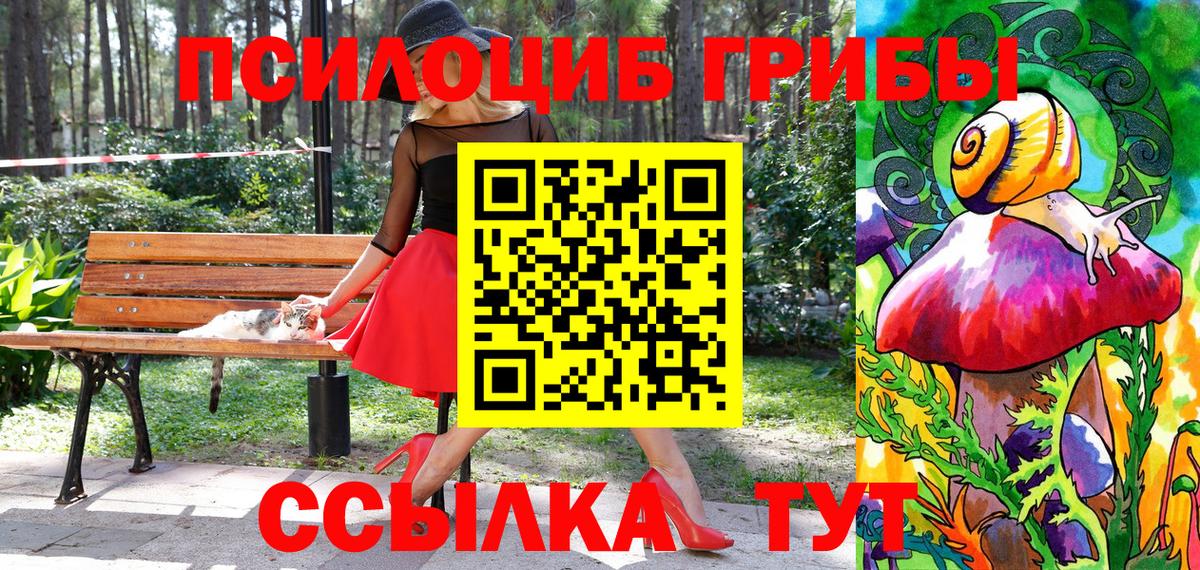 Светлоград  Псилоцибиновые грибы прущие грибы  Вход с VPN 