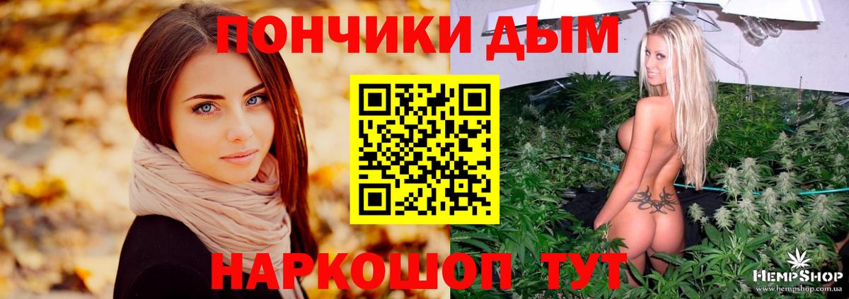Канабис Bruce Banner  Шишки марихуана Amnesia  Марихуана OG Kush  Светлоград  Вход с VPN 